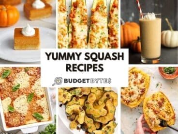 squash featured image collage
