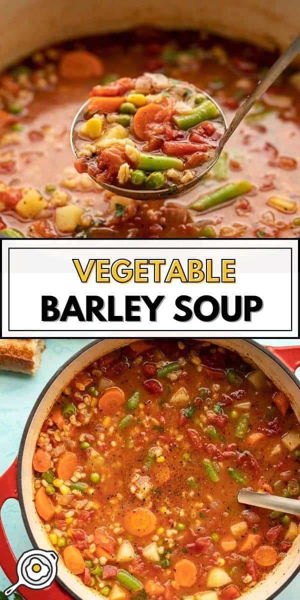 Vegetable Barley Soup pin image